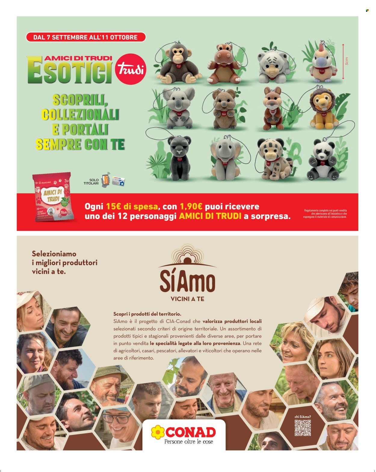 Volantino Conad City - 25/9/2026 - 1/10/2026. Pagina 13