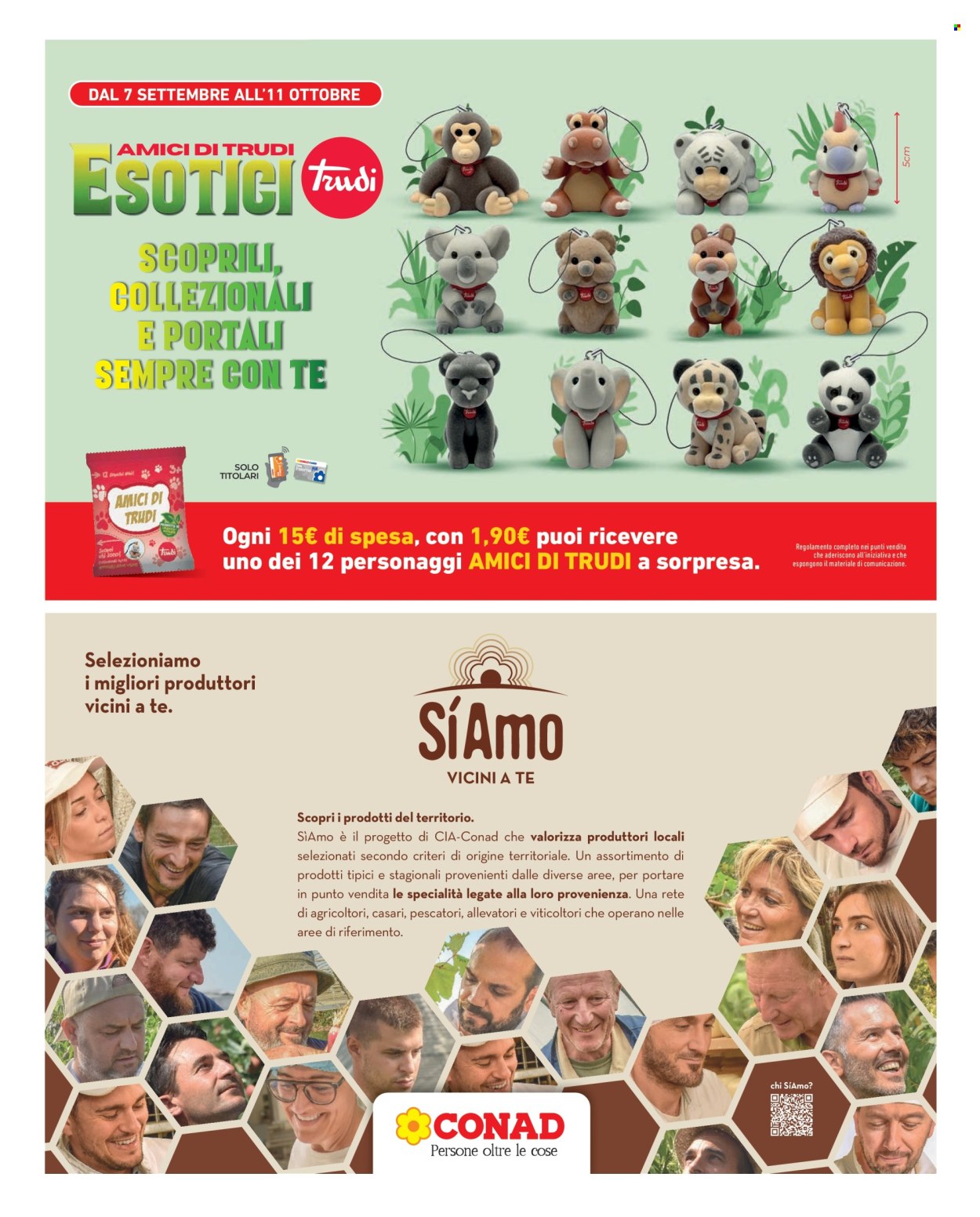 Volantino Conad City - 25/9/2026 - 1/10/2026. Pagina 13