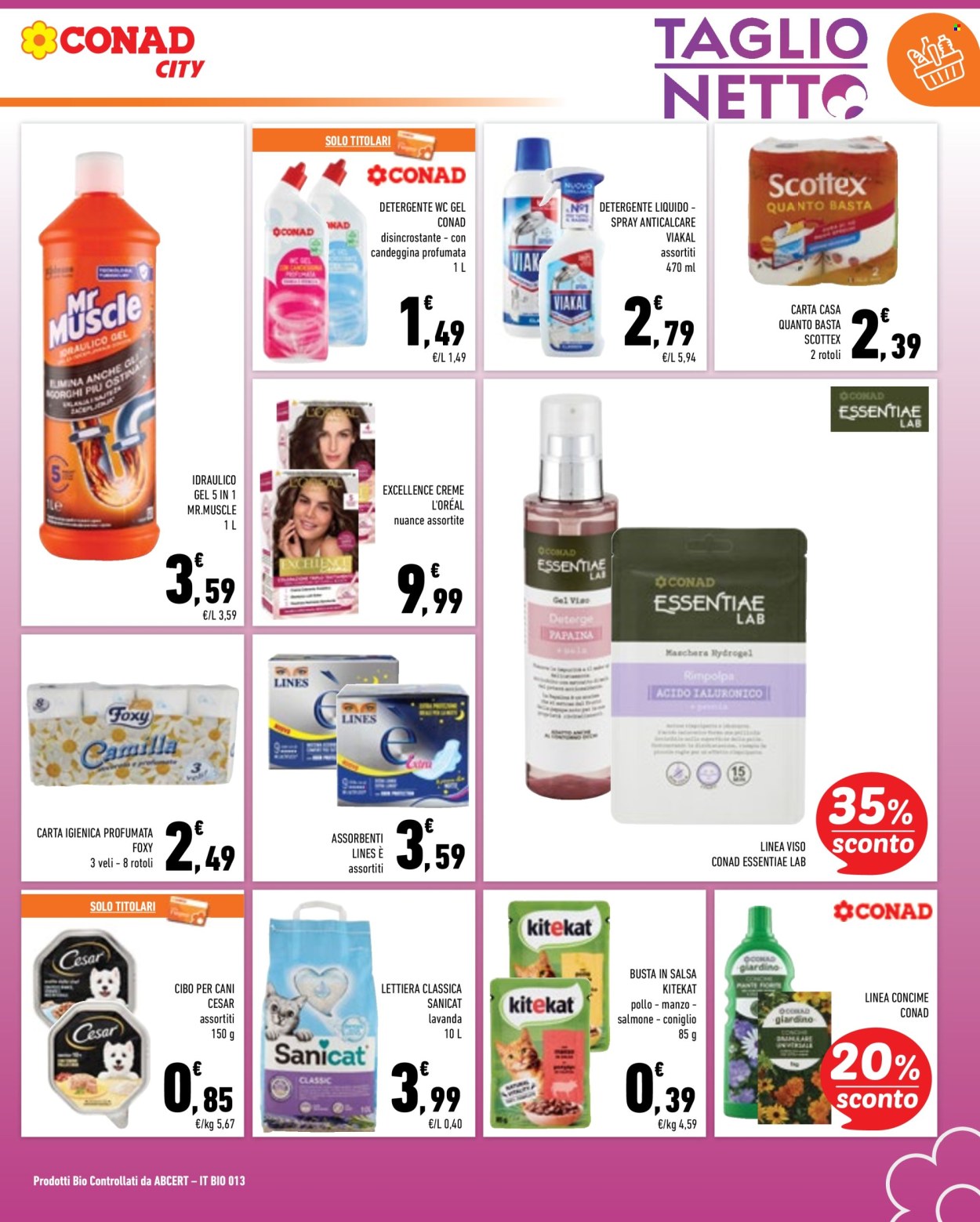 Volantino Conad - 22/9/2026 - 5/10/2026. Pagina 17
