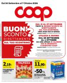 leaflet