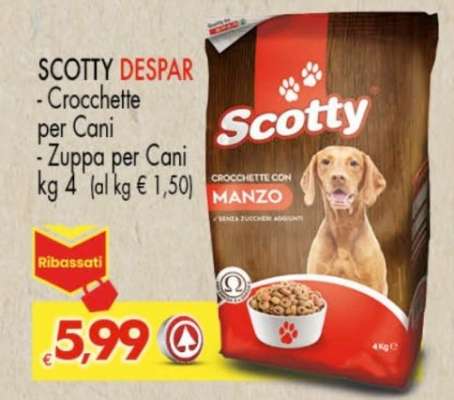 SCOTTY DESPAR