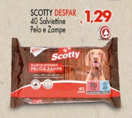 SCOTTY DESPAR