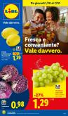 leaflet