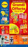 leaflet