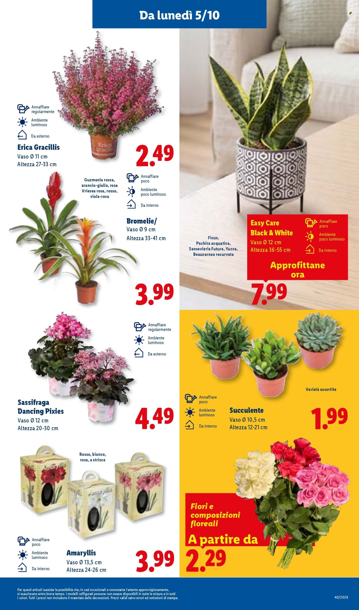 Volantino Lidl - 1/10/2026 - 7/10/2026. Pagina 31