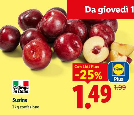Susine