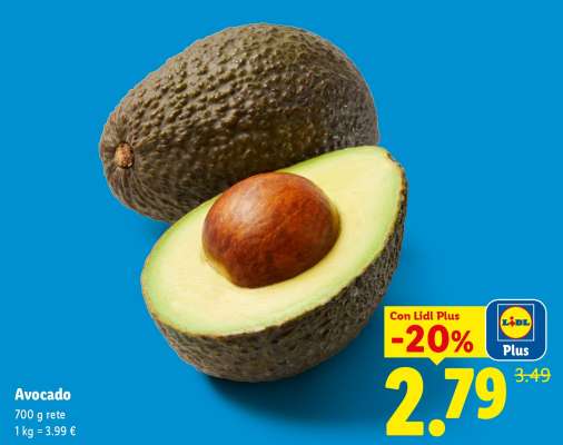 Avocado