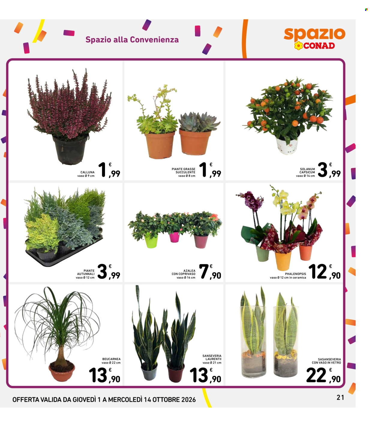 Volantino Spazio Conad - 1/10/2026 - 14/10/2026. Pagina 21