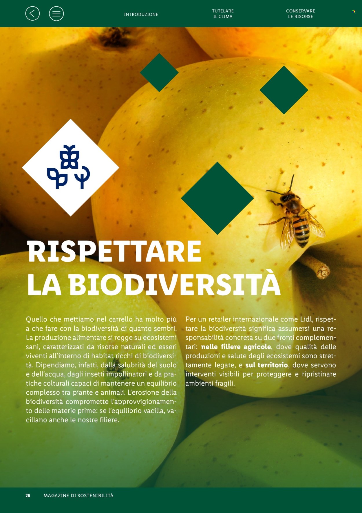 Volantino Lidl - 28/9/2026 - 28/9/2026. Pagina 26