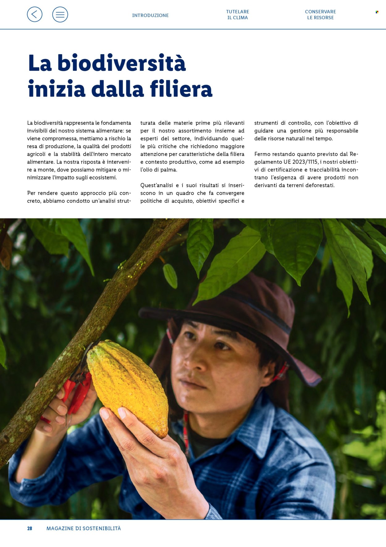 Volantino Lidl - 28/9/2026 - 28/9/2026. Pagina 28