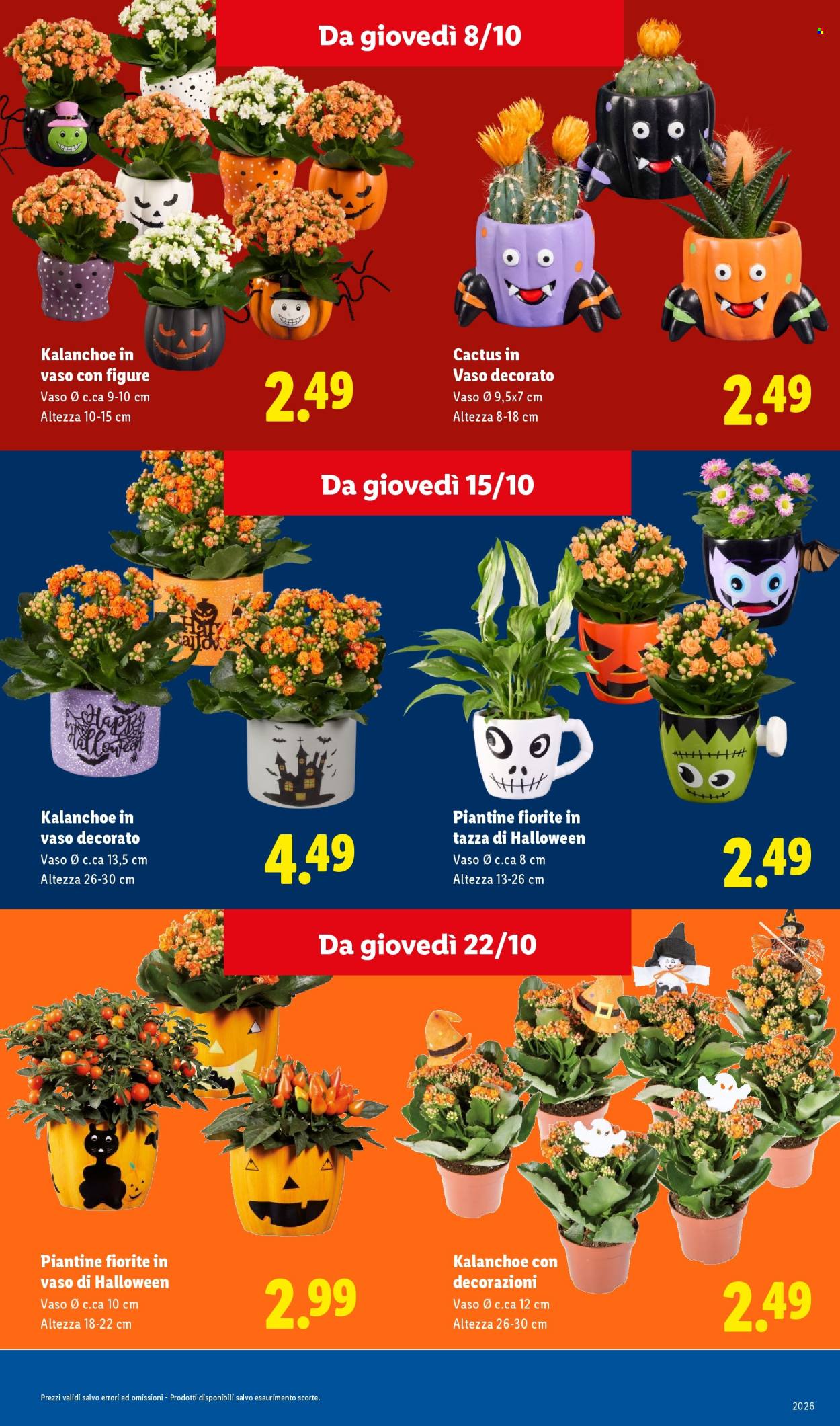 Volantino Lidl - 1/10/2026 - 31/10/2026. Pagina 17