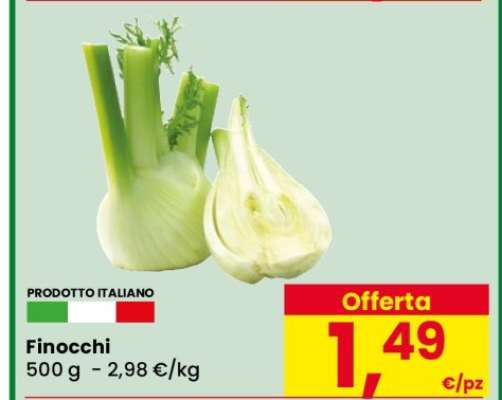 Finocchi