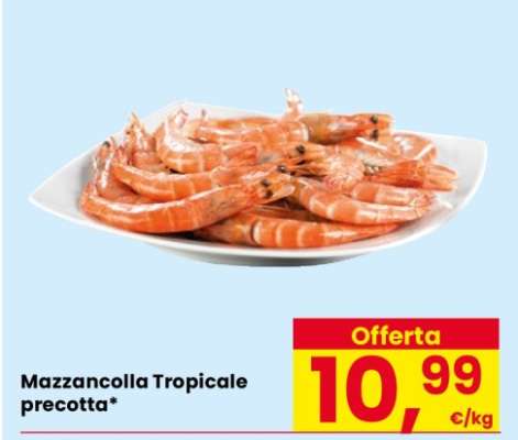 Mazzancolla tropicale precotta