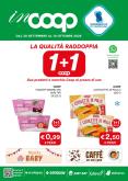 leaflet