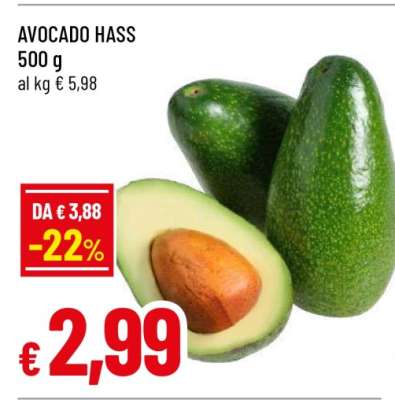 Avocado Hass