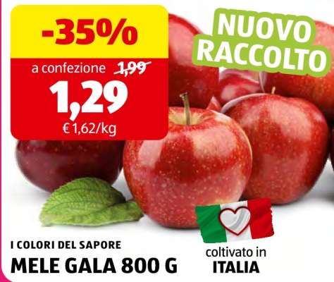 MELE GALA 800 G