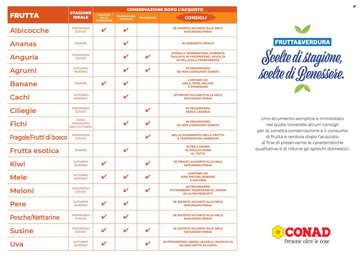Volantino Conad - 2/2/2026 - 31/12/2026. Pagina 2