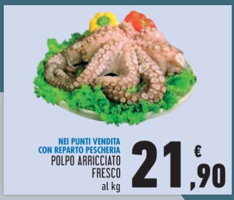 Polpo Arricciato Fresco