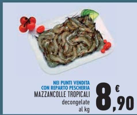 MAZZANCOLLE TROPICALI