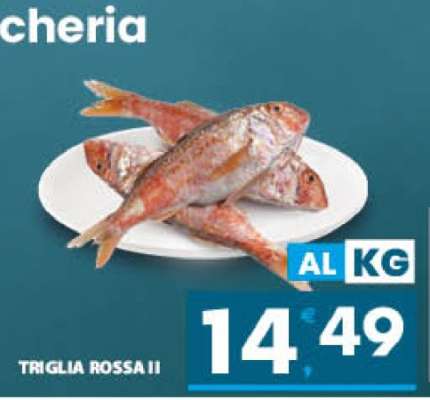 Triglia rossa II