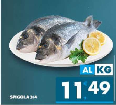 Spigola 3/4