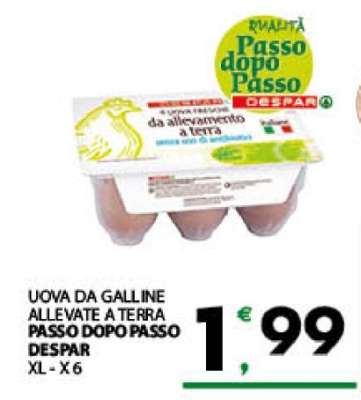 UOVA DA GALLINE ALLEVATE A TERRA PASSO DOPO PASSO DESPAR