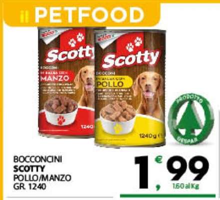 BOCCONCINI SCOTTY
