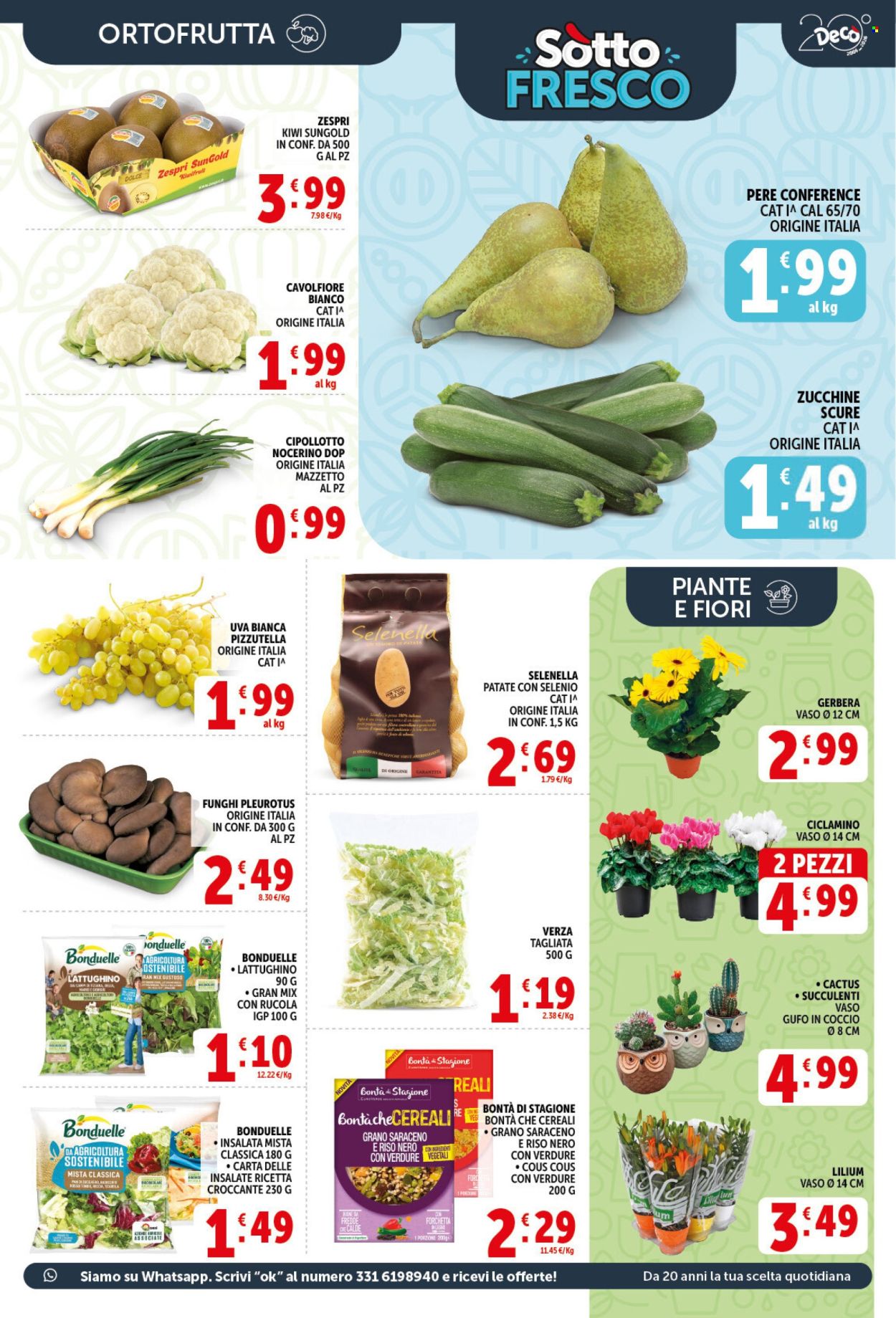 Volantino Deco - 2/10/2026 - 12/10/2026. Pagina 13
