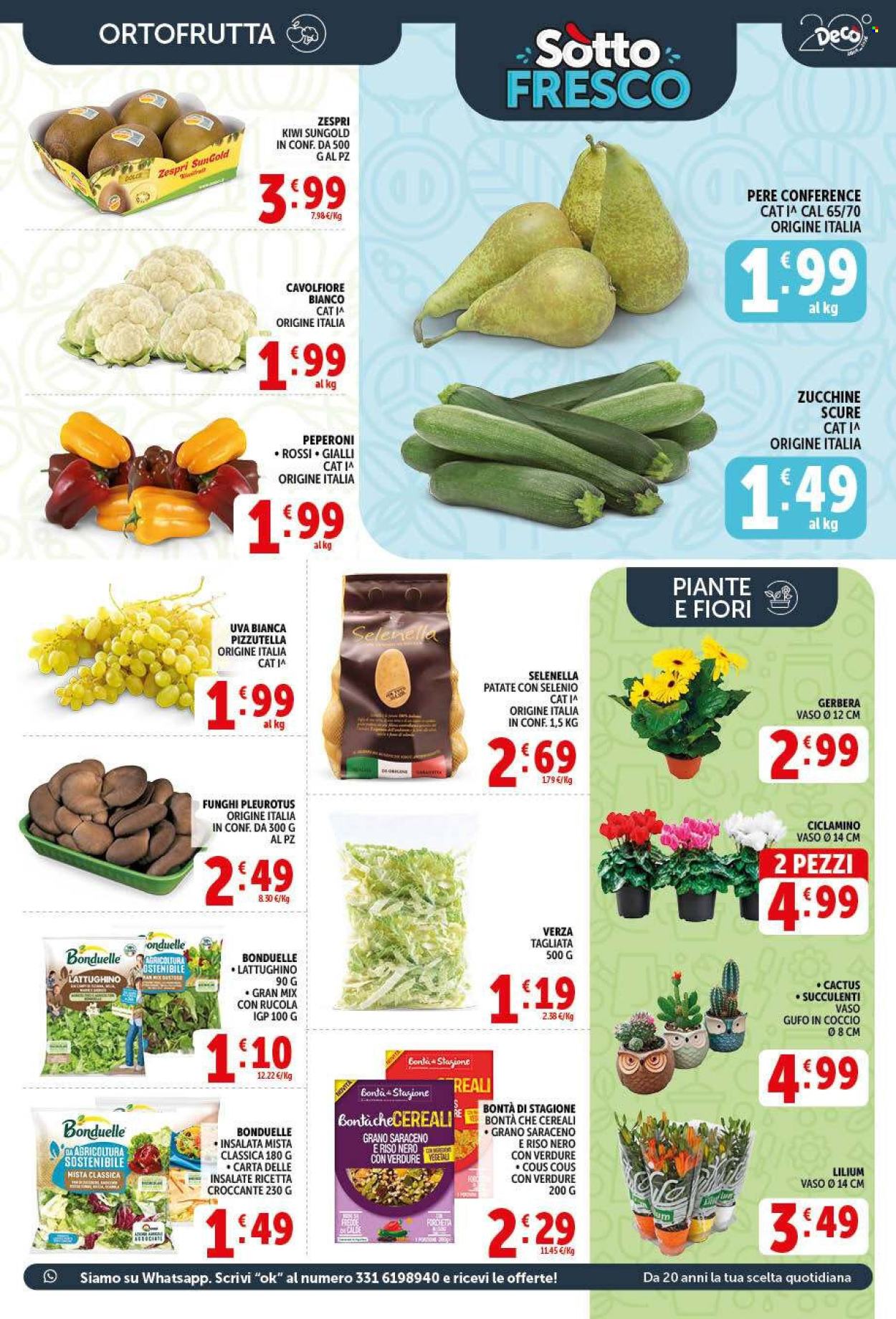 Volantino Deco - 2/10/2026 - 12/10/2026. Pagina 13