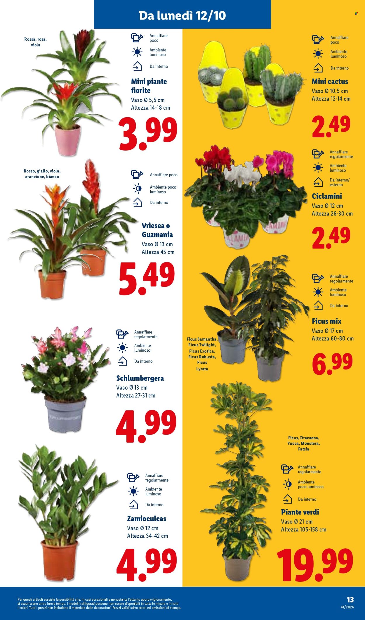 Leták Lidl - 8.10.2026 - 14.10.2026. Strana 33