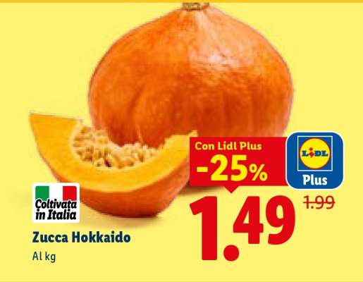 Zucca Hokkaido