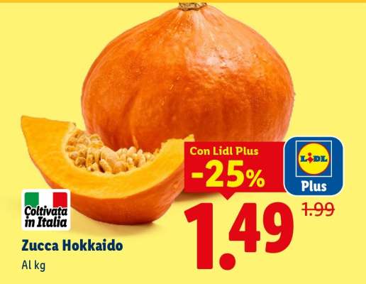 Zucca Hokkaido
