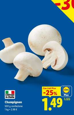 Champignon