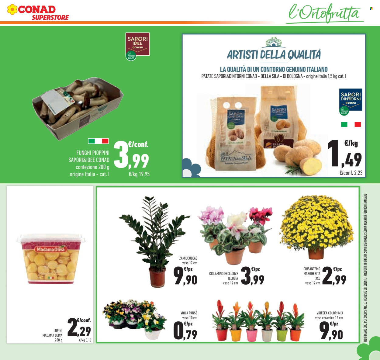 Leták Conad Superstore - 7.10.2026 - 20.10.2026. Strana 21