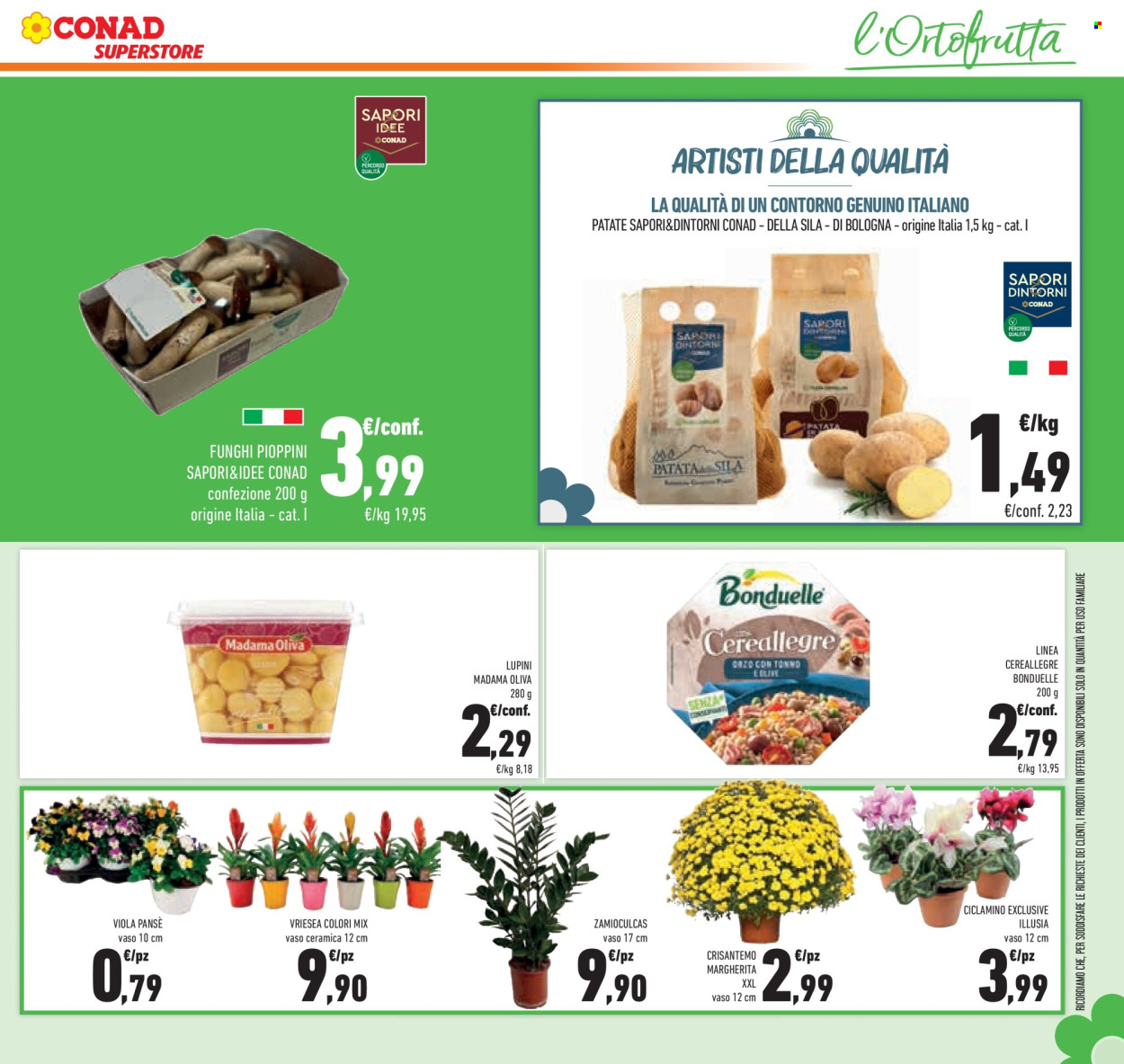 Leták Conad Superstore - 7.10.2026 - 20.10.2026. Strana 21