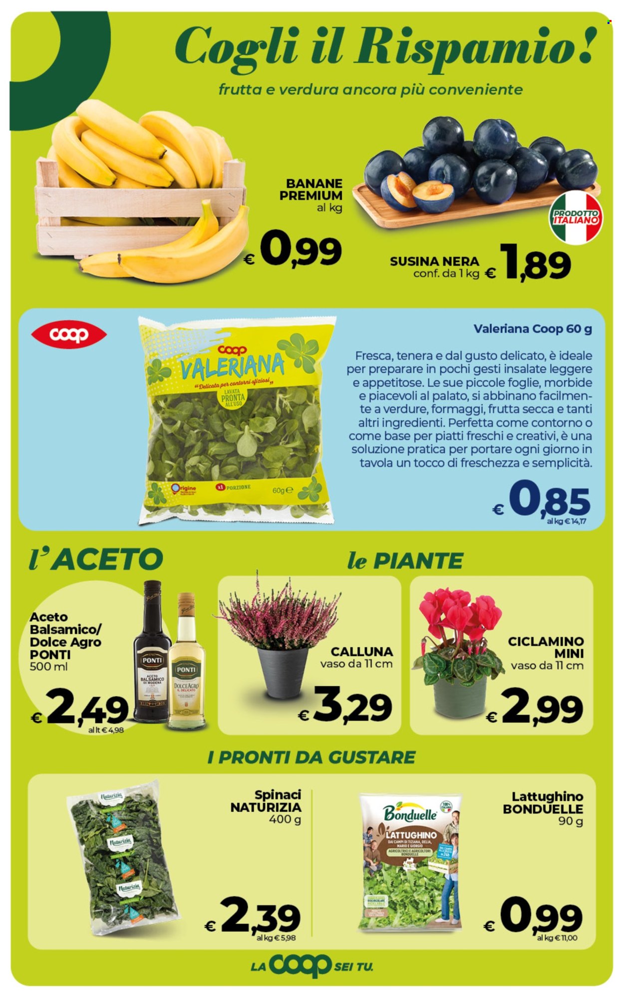 Volantino Coop - 2/10/2026 - 12/10/2026. Pagina 9