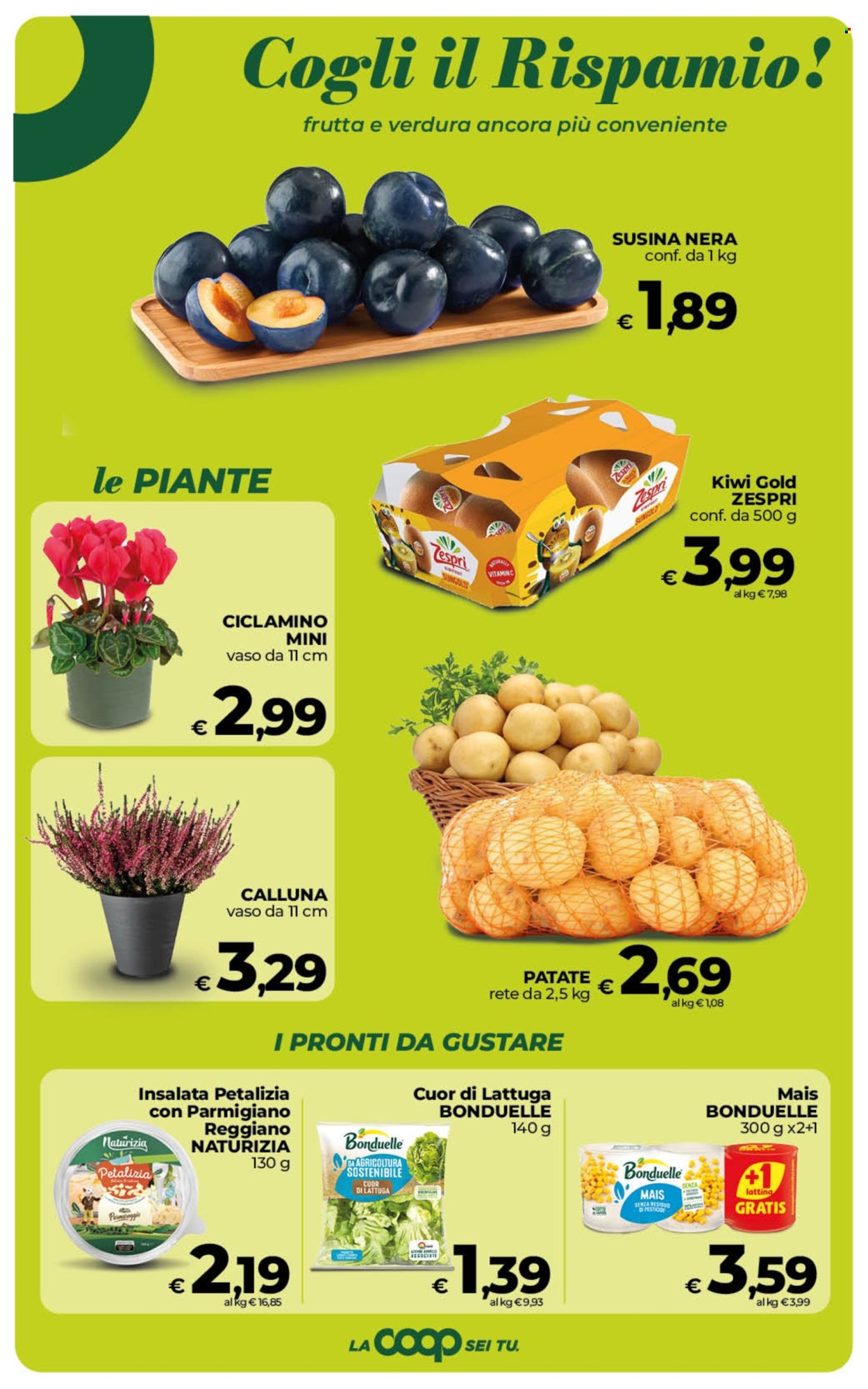 Volantino Coop - 2/10/2026 - 12/10/2026. Pagina 15