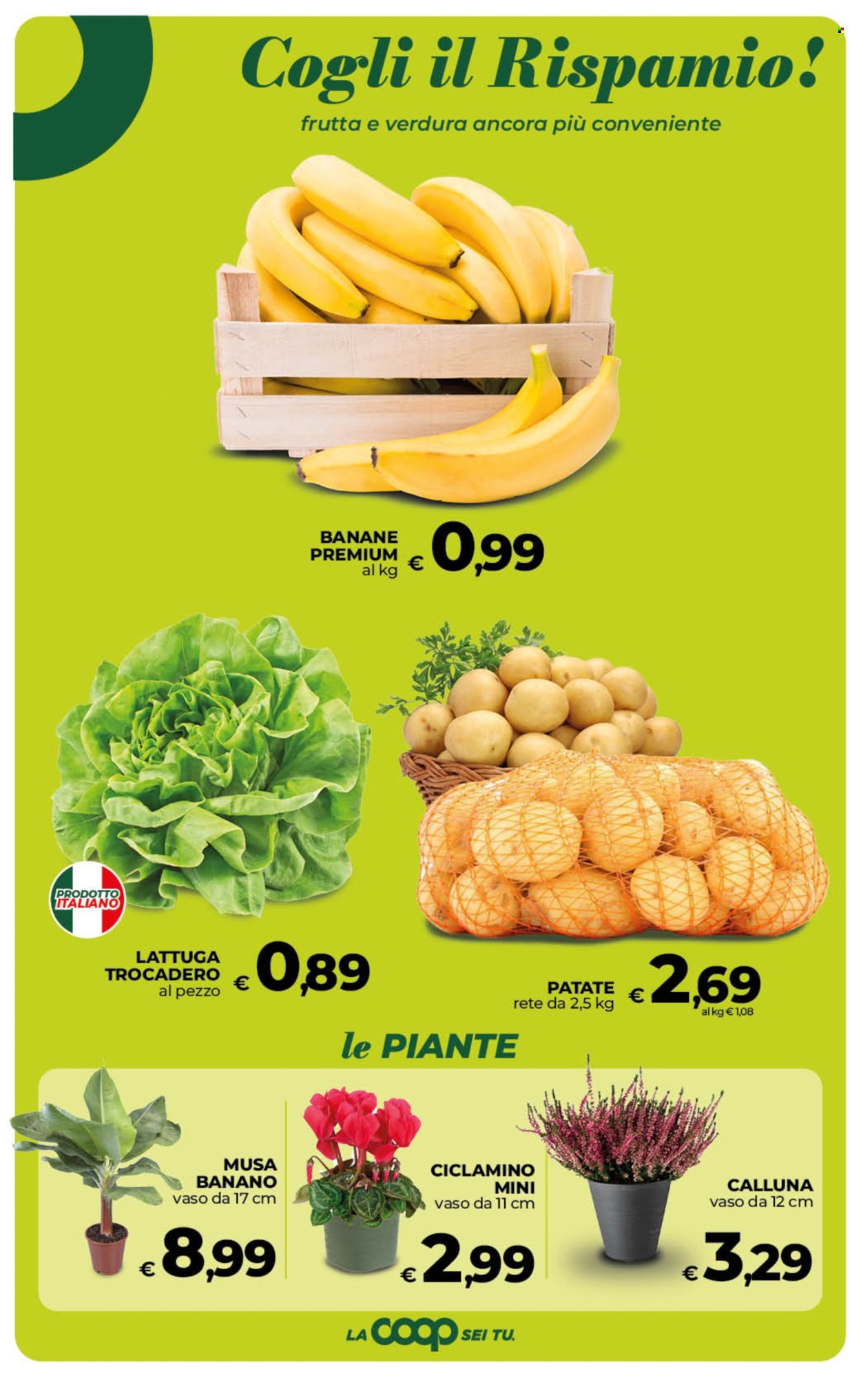 Volantino Coop - 2/10/2026 - 12/10/2026. Pagina 25