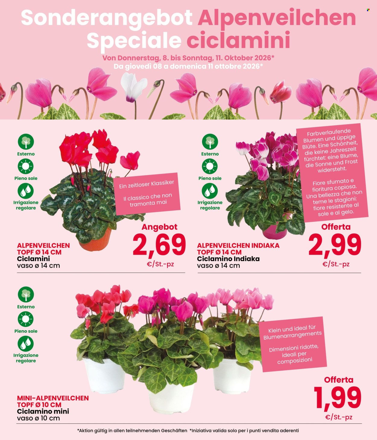 Volantino Despar - 8/10/2026 - 11/10/2026. Pagina 3