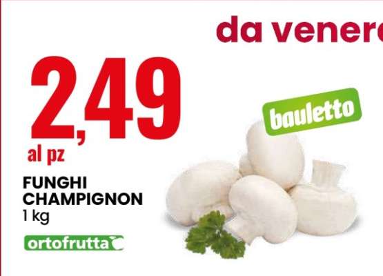 FUNGI CHAMPIGNON