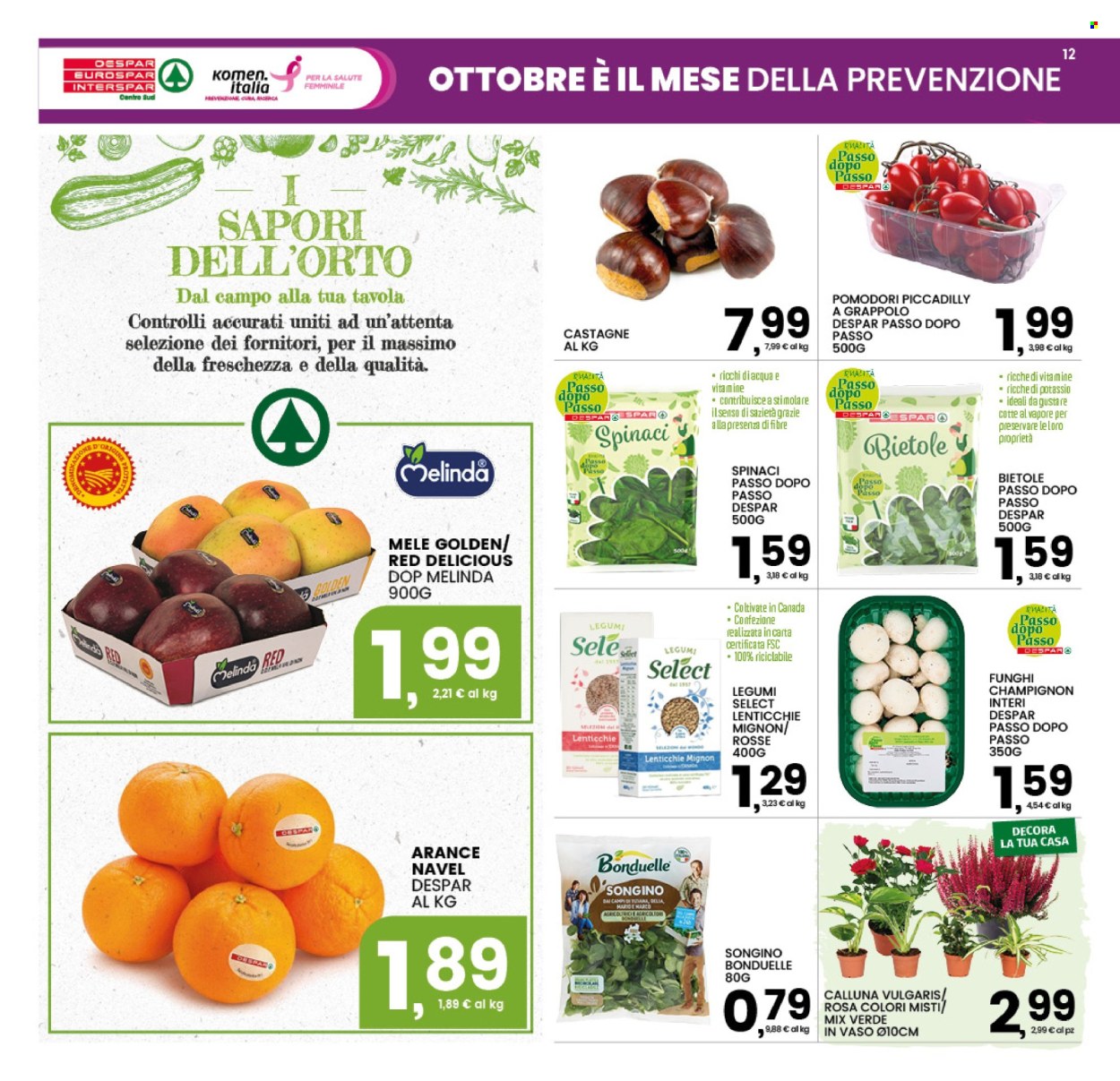 Volantino Interspar - 12/10/2026 - 21/10/2026. Pagina 12
