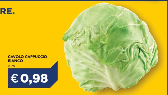 Cavolo Cappuccio Bianco