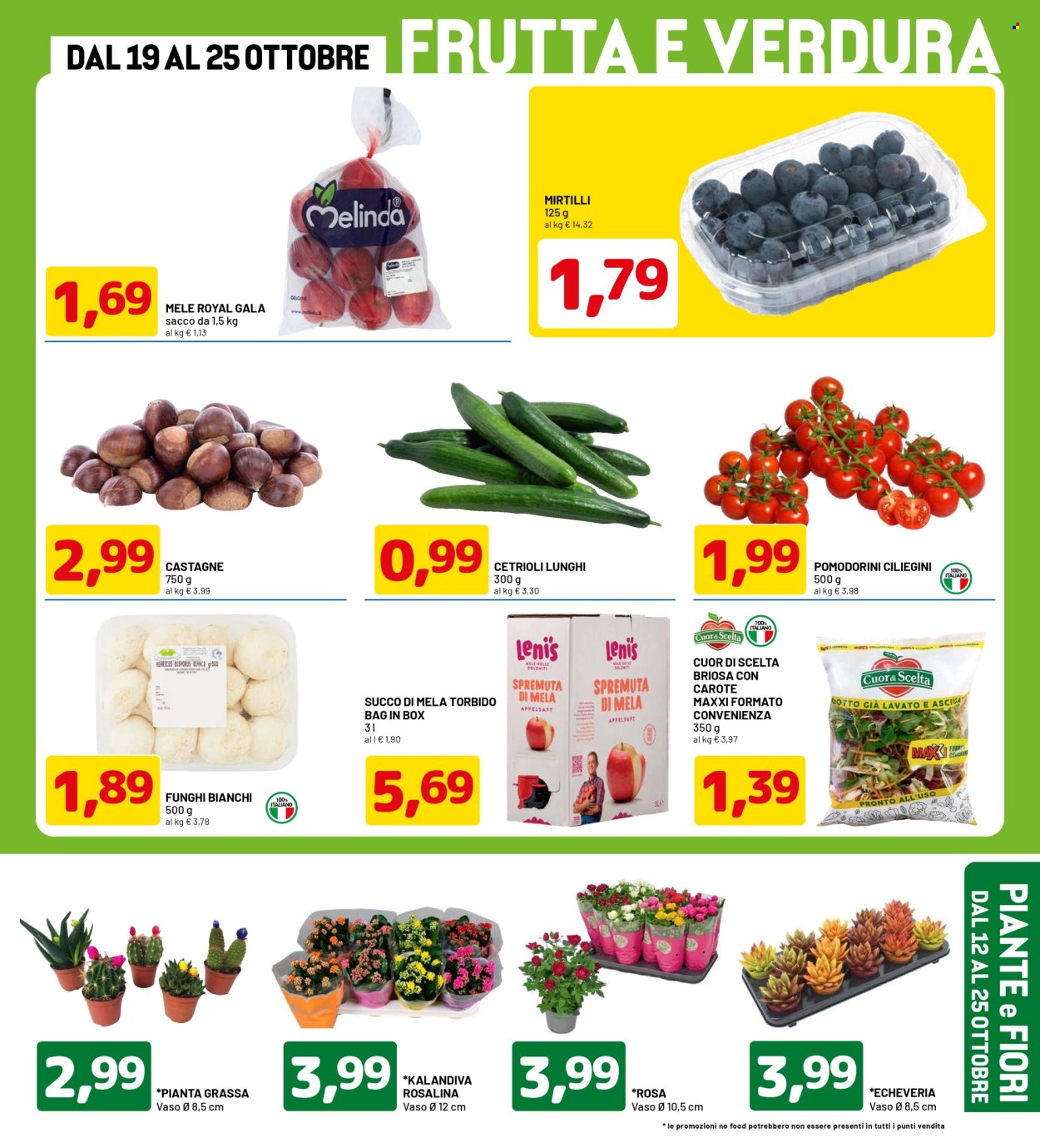 Volantino Dpiù - 12/10/2026 - 25/10/2026. Pagina 3