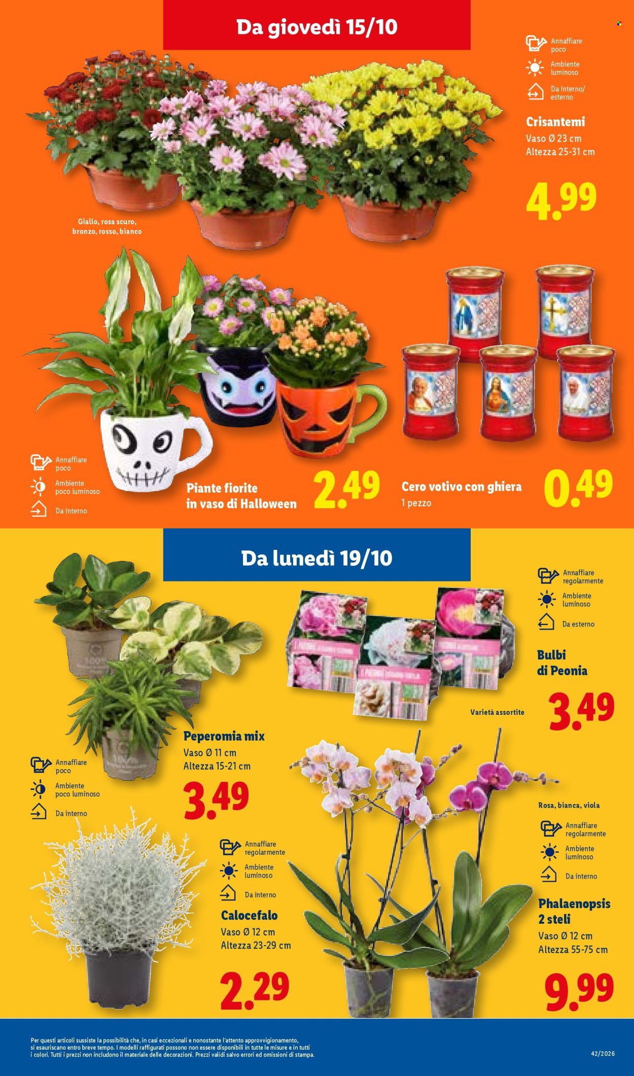Leták Lidl - 15.10.2026 - 21.10.2026. Strana 45