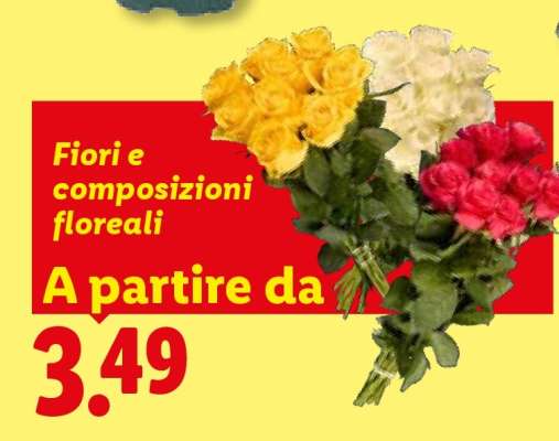 Fiori e composizioni floreali