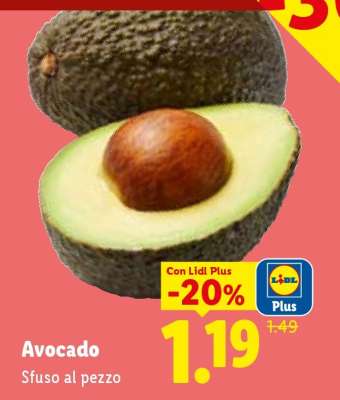 Avocado