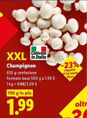Champignon XXL