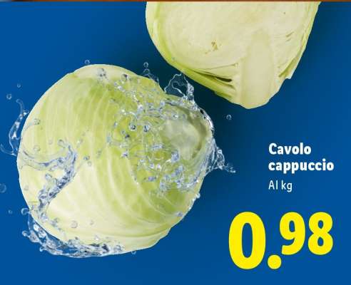 Cavolo Cappuccio