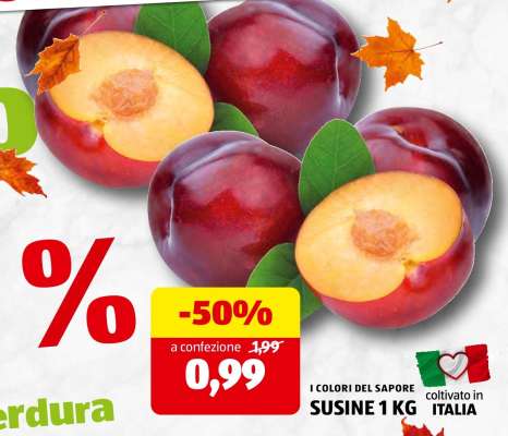 SUSINE 1 KG