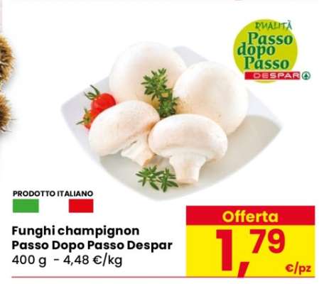 Funghi Champignon